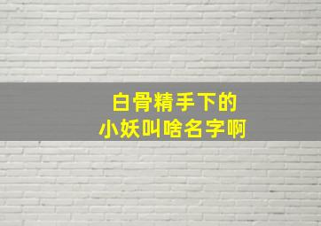 白骨精手下的小妖叫啥名字啊