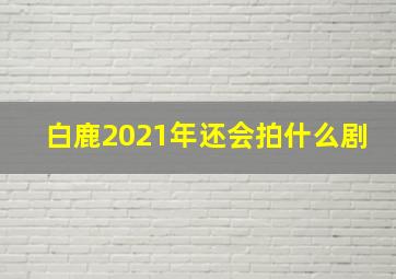 白鹿2021年还会拍什么剧