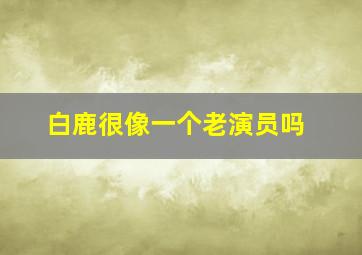 白鹿很像一个老演员吗