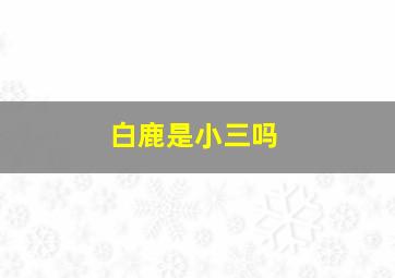 白鹿是小三吗