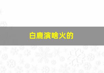 白鹿演啥火的