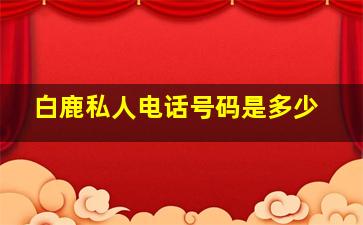 白鹿私人电话号码是多少