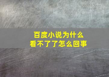 百度小说为什么看不了了怎么回事