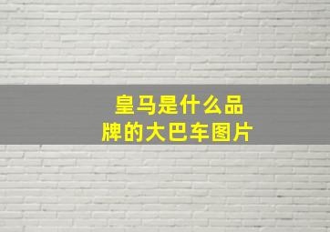 皇马是什么品牌的大巴车图片