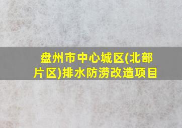 盘州市中心城区(北部片区)排水防涝改造项目