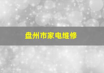 盘州市家电维修