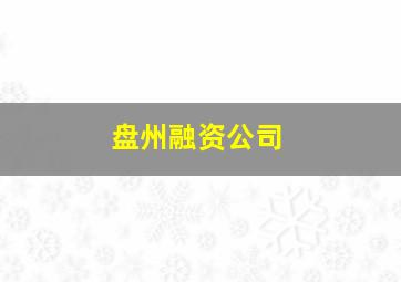 盘州融资公司