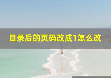 目录后的页码改成1怎么改