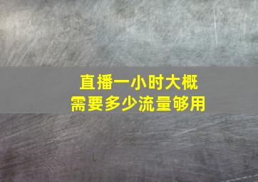 直播一小时大概需要多少流量够用