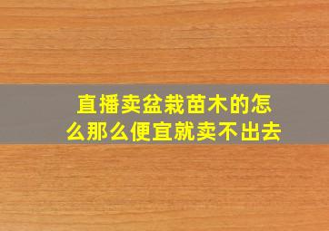 直播卖盆栽苗木的怎么那么便宜就卖不出去