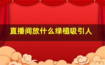 直播间放什么绿植吸引人