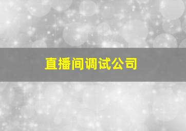 直播间调试公司