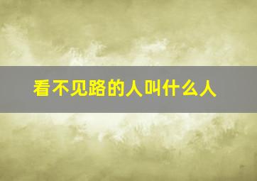 看不见路的人叫什么人