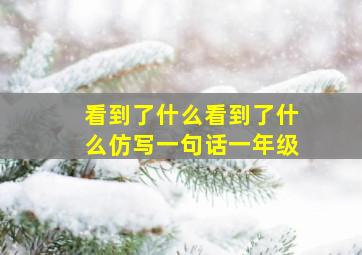 看到了什么看到了什么仿写一句话一年级