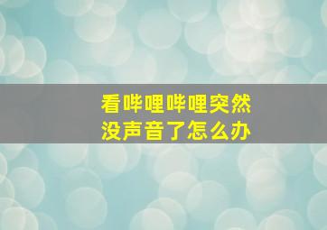 看哔哩哔哩突然没声音了怎么办