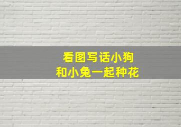 看图写话小狗和小兔一起种花