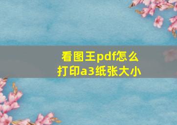 看图王pdf怎么打印a3纸张大小