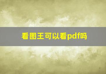 看图王可以看pdf吗