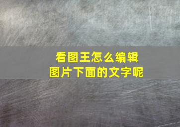 看图王怎么编辑图片下面的文字呢