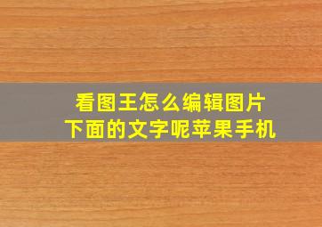 看图王怎么编辑图片下面的文字呢苹果手机