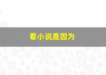 看小说是因为