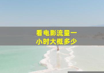 看电影流量一小时大概多少