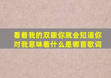 看着我的双眼你就会知道你对我意味着什么是哪首歌词