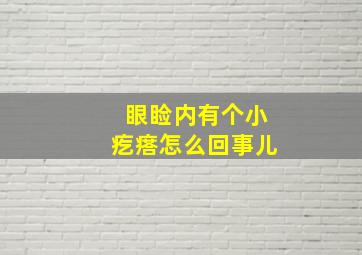 眼睑内有个小疙瘩怎么回事儿