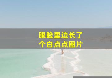 眼睑里边长了个白点点图片