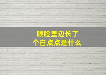 眼睑里边长了个白点点是什么