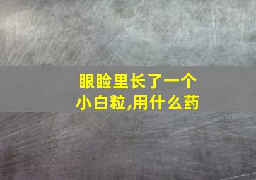 眼睑里长了一个小白粒,用什么药