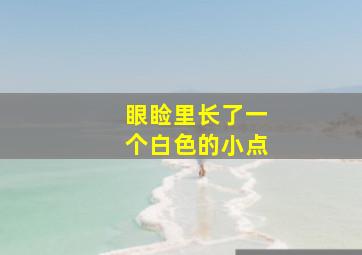 眼睑里长了一个白色的小点