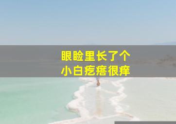 眼睑里长了个小白疙瘩很痒