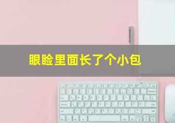 眼睑里面长了个小包