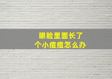 眼睑里面长了个小痘痘怎么办