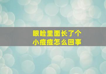 眼睑里面长了个小痘痘怎么回事