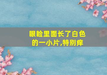 眼睑里面长了白色的一小片,特别痒