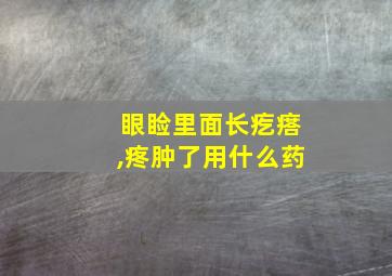 眼睑里面长疙瘩,疼肿了用什么药