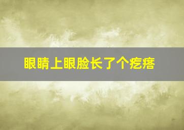 眼睛上眼脸长了个疙瘩