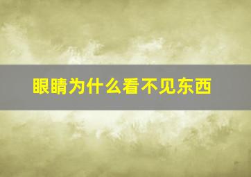 眼睛为什么看不见东西