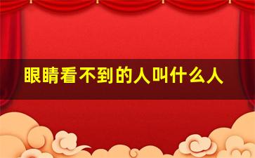 眼睛看不到的人叫什么人