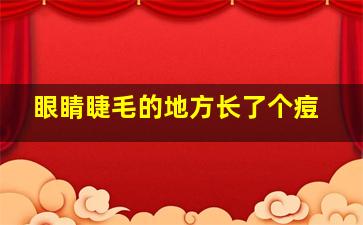 眼睛睫毛的地方长了个痘