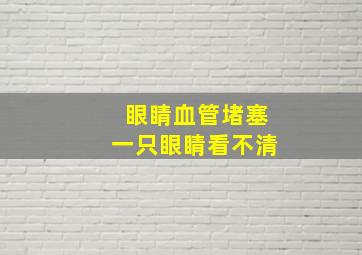 眼睛血管堵塞一只眼睛看不清