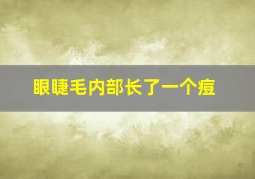 眼睫毛内部长了一个痘