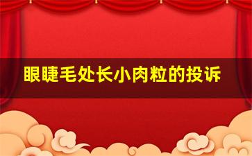 眼睫毛处长小肉粒的投诉