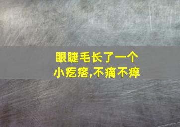 眼睫毛长了一个小疙瘩,不痛不痒