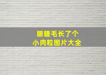 眼睫毛长了个小肉粒图片大全