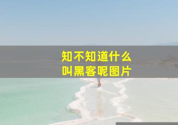 知不知道什么叫黑客呢图片