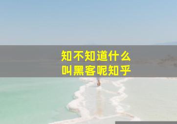 知不知道什么叫黑客呢知乎