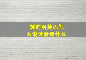 矮的用英语怎么说读音是什么